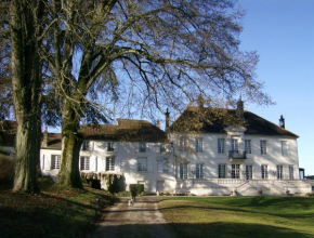 Отель Le Chateau de Prauthoy  Протуа